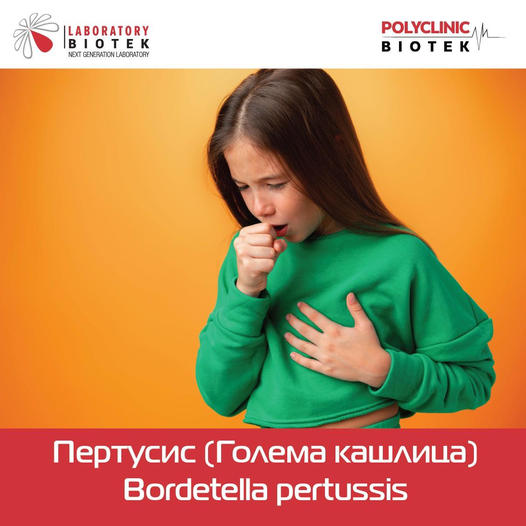 Пертусис (Голема кашлица)